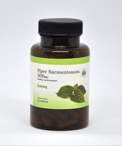 Piper Sarmentosum
