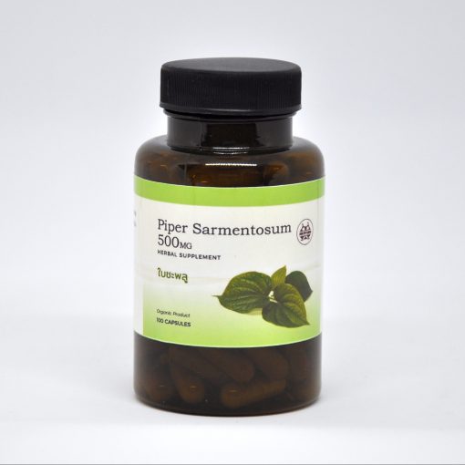 Piper Sarmentosum